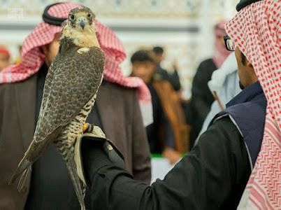 السعدي ضيف منتدى إكتشاف المواهب الإجتماعية بنجران