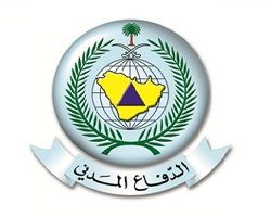 حملات في الشرقية تضبط 129مخالفا لنظام الإقامة والعمل