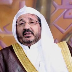 مطار القاهرة يستقبل 12 مصريا مرحلا من السعودية