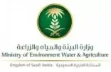 “بيئة القصيم” : أكثر من 18 الف رأس من الأضاحي تستقبلها مسالخ المنطقة خلال أيام عيد الأضحى