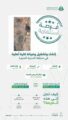 أمانة المدينة المنورة تطرح فرصة استثمارية لإنشاء وتشغيل وصيانة كلية أهلية