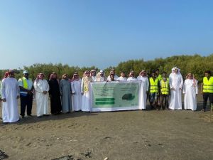 فرع “البيئة” بجازان يحتفي بيوم مبادرة “السعودية الخضراء”