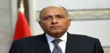 وزير الخارجية المصري يبحث مع نظير الروسي الأوضاع في المنطقة