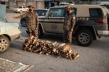 القوات الخاصة للأمن البيئي تضبط 34 مخالفاً لنظام المراعي والغابات بالرياض