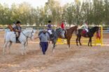 نادي ركوب الخيل بتبوك واجهة مضيئة في تاريخ الفروسية / إضافة أولى