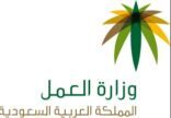 وزارة العمل تتيح إصدار تراخيص لمكاتب استقدام جديدة متخصصة في العمالة المنزلية