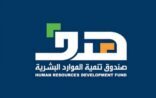 الجمعة القادم: انطلاق معرض لقاءات الالكتروني لتوظيف الخريجين
