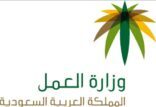 وزارة العمل تلزم  مكاتب إرسال العمالة بـ25 % عمالة منزلية نسائية
