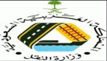 وزارة النقل تسحب 30 مشروعا متعثرا خلال 7 أشهر