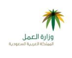 سفارة جيبوتي: 2000 عامل جاهز للعمل في السعودية
