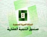 اعتماد 5 آلاف قرض جديد في الأسبوع الأول من رمضان