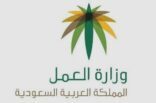 “الوزراء” يحيل “إجازة اليومين” للشورى لدراسته والبت فيه