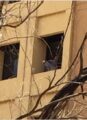 بالصور..شاب يحاول الانتحار بعد تعرضه لأزمة نفسية إثرعملية بترت فيها أصبعه