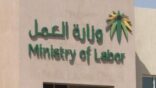 “العمل” تدعو المواطنين إلى التحقق من عدم الاستغلال في التوظيف الوهمي