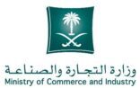 بالفيديو.. مداهمة “التجارة” لعمالة تصنّع أحبارا مغشوشة