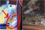 صورة لمسن يصلي لحظة دخول القباع المسجد قبل أن يلقى ربه شهيداً خلال التفجير