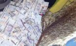 ضبط مبالغ مجهولة بحوزة مقيمين