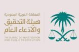 حبس المتهمين في واقعة التحرش بفتاتي جدة 15 يوماً.. واستدعاء الفتاتين إذا ثبت تورطهما