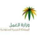 “العمل”: بدء تطبيق برنامج “حماية الأجور” للمنشآت التي لديها (130) عاملاً فأكثر