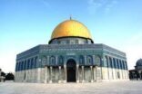 اقتحام “الأقصى”.. “العريفي”: أبطال فلسطين يبيضون وجه الأمة.. و”القرني”: ماذا سيقول التاريخ عنا؟