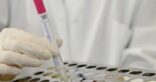 ابن العائلة المصابة بـ”كورونا”: والدي لا يمتلك حتى ناقة واحدة.. وبيان “الصحة” “مضلل”