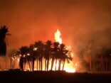حريق هائل يلتهم مزارع نخيل غرب دومة الجندل