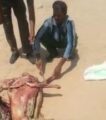 بالفيديو.. “عامل بوفيه” يبيع “جيفاً” لزبائنه بحفر الباطن.. والقبض عليه متلبساً خلال تقطيعه 3 منها بالصحراء