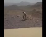 بالفيديو.. لواء سعودي يتقدم جنوده بفدائية مهاجماً المتمردين الحوثيين بالحد الجنوبي
