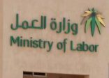 “العمل”: لدينا مبادرات جديدة لعمل المرأة.. ونستفيد من المبتعثات