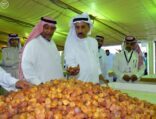 محافظ رياض الخبراء يزور مهرجان التمور بالمحافظ