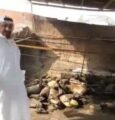 احتراق حظيرة مواش يكلف صاحبها خسائر بـ250 ألف ريال بجدة (صور)