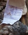 بالفيديو.. مواطن يعثر على ورقة “طلاسم” مربوطة على جناج طائر