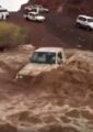 بالفيديو.. سيول مندفعة تجرف شابين بسيارتهما قبل إنقاذهما في اللحظة الأخيرة