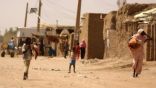 مواجهات بين المتمردين والقوات السودانية في ولاية النيل الازرق