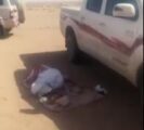 فيديو لمصاب ملقى على الأرض بعد صدمه إبلاً سائبة بالقصيم.. ومتطوعون مستاؤون لتأخر الإنقاذ