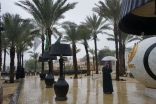 الأمطار تكمل سحر طبيعة ذا جروفز في موسم الرياض