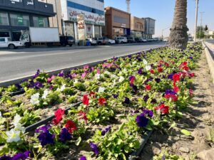 بلدية القطيف تواصل جهودها نحو بيئة مستدامة