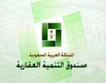 مواطنون يطالبون بطرح اكتتاب للقرض المعجل وتمديد سداده إلى 30 عاماً