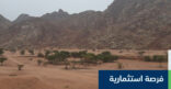 فرصة استثمارية بمنتزه أبو الجود الوطني بالمدينة المنورة