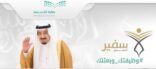 «التعليم» تعلن مواعيد التقديم الإلكتروني لمرشحي «الصحة» و«الطيران المدني»