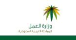 وزارة العمل توقف اكثر من 150 منشأة عن الاستقدام