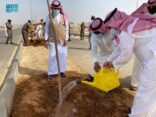 انطلاق فعاليات أسبوع البيئة بمحافظ ضباء