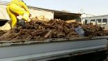 مصادرة أكثر من 1456 طن من الحطب المحلي بالرياض
