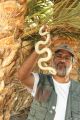 كبير هواة الثعابين بالسعودية يدخل موسوعة جينيس للأرقام