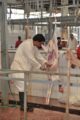 ٢٥ ألف رأس من الماشية تستهلكها مكة المكرمة خلال الإجازة