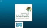 وزارة العمل والتنمية الاجتماعية تطرح مسودة مشروع نظام حقوق كبار السن أمام المهتمين