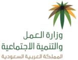وزارة العمل  تتجه لإنشاء أقساماً للتطوع في القطاع غير الربحي