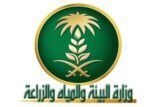 البيئة تزرع  10 الاف شجرة بحائل