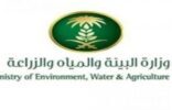 وزارة البيئة تطرح سبعة مجالات استثمارية بالتعاون مع هيئة المنشآت