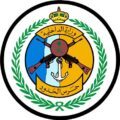 سلاح الحدود بالمنطقة الجنوبية يحبط تهريب ٣٥٤ كيلو جرام من الحشيش